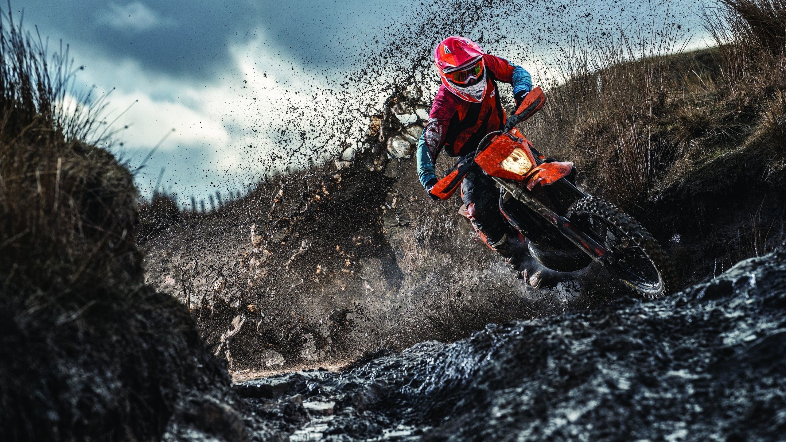 中国女篮主打全场联动式进攻模式,中国女篮强势夺金